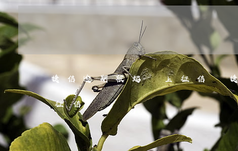 捷信逾期被起訴上征信嗎(捷信息逾期多久上征信)
