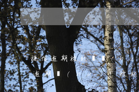 捷信逾期被起訴會(huì)坐牢嗎-捷信逾期會(huì)被起訴嗎?真還不上怎么辦