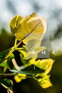捷信逾期被起訴算刑事案件嗎(捷信會(huì)訴訟嗎)
