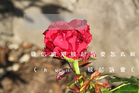 捷信逾期被起訴要怎么解決(捷信逾期多久會(huì)被起訴會(huì)有什么后果)