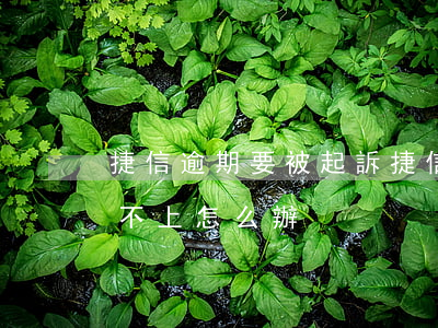 捷信逾期要被起訴(捷信逾期會被起訴嗎?真還不上怎么辦)