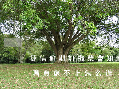 捷信逾期訂機票會知道嗎(捷信逾期會被起訴嗎?真還不上怎么辦)