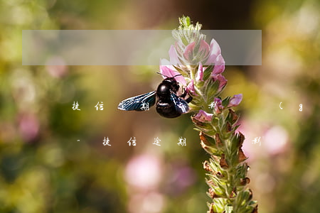 捷信逾期記錄影響個(gè)人辦理信用卡-捷信逾期記錄影響個(gè)人辦理信用卡嗎