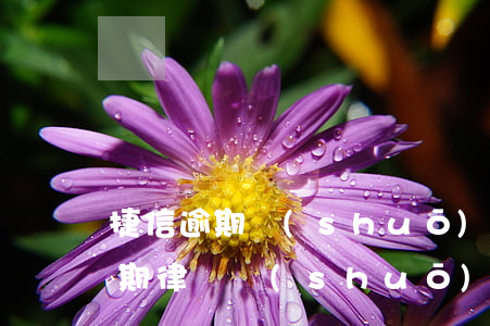 捷信逾期說(shuō)要移交法院 捷信逾期律師說(shuō)案件已經(jīng)移交司法機(jī)關(guān)