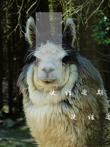 捷信逾期說安排人去村委會(huì)走訪-捷信逾期說安排人去村委會(huì)走訪是真的嗎