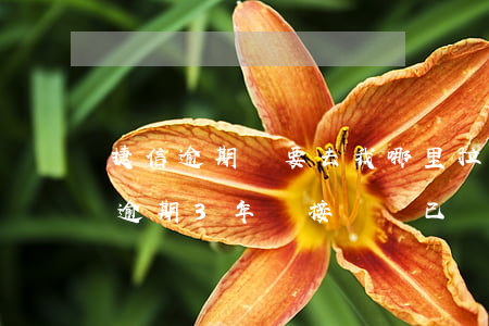 捷信逾期說要去我哪里拉黑名單-捷信公司逾期3年剛接電話已經(jīng)上報征信報告拉入黑名單
