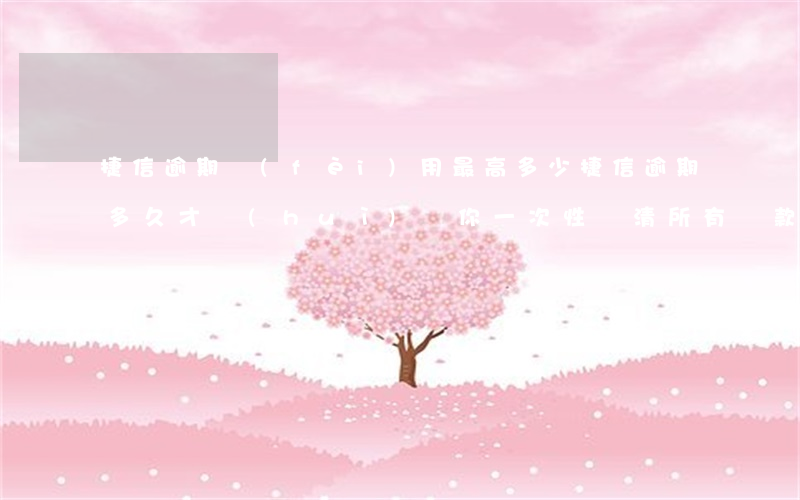 捷信逾期費(fèi)用最高多少(捷信逾期多久才會(huì)讓你一次性還清所有貸款)