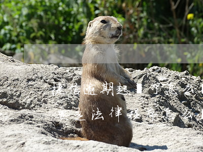 捷信逾期起訴了怎么辦沒錢(捷信逾期沒錢還,要走法律程序怎么辦)
