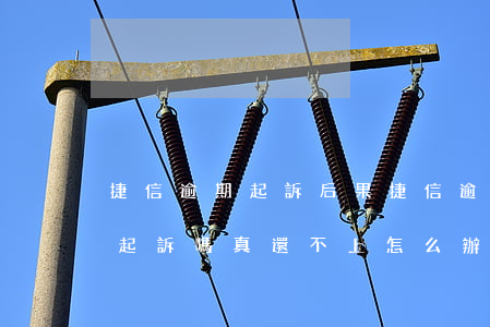 捷信逾期起訴后果(捷信逾期會(huì)被起訴嗎?真還不上怎么辦)