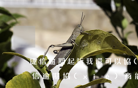 捷信逾期起訴我還可以協(xié)商嗎(捷信逾期協(xié)商能不能處理逾期狀態(tài)不逾期)