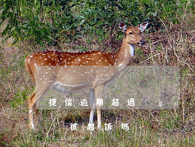 捷信逾期超過(guò)90天會(huì)被起訴嗎-