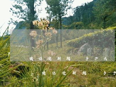 捷信逾期超過多少天會(huì)取消分期-捷信逾期超過多少天會(huì)取消分期業(yè)務(wù)