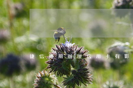 捷信逾期辦理信用卡有影響沒
