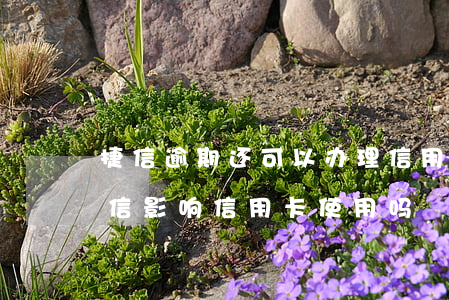 捷信逾期还可以办理信用卡吗(捷信逾期上征信影响信用卡使用吗)