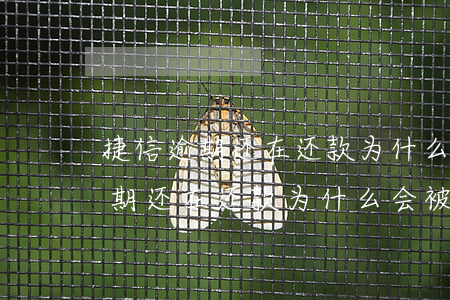 捷信逾期还在还款为什么会被起诉-捷信逾期还在还款为什么会被起诉呢