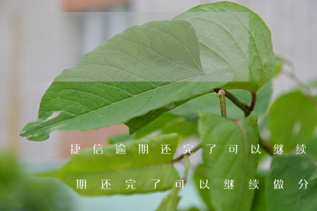 捷信逾期还完了可以继续做分期吗?-捷信逾期还完了可以继续做分期吗