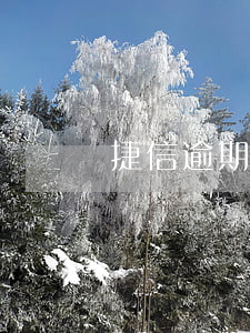 捷信逾期还款后怎么联系(捷信还款电话)