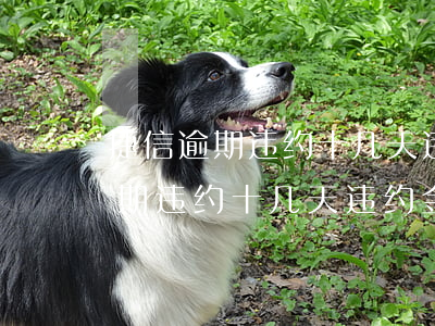 捷信逾期违约十几天违约金怎么算-捷信逾期违约十几天违约金怎么算的
