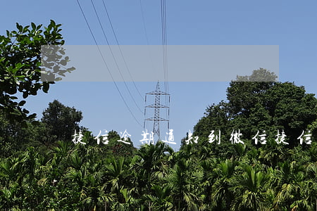 捷信逾期通知到微信(捷信逾期冻结微信)