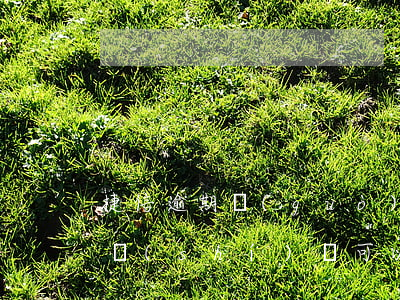 捷信逾期過(guò)多長(zhǎng)時(shí)間可以恢復(fù)征信-捷信逾期過(guò)多長(zhǎng)時(shí)間可以恢復(fù)征信記錄