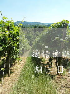 捷信逾期過3個月還完了上征信么-捷信逾期三個月還清了還可以繼續(xù)用么