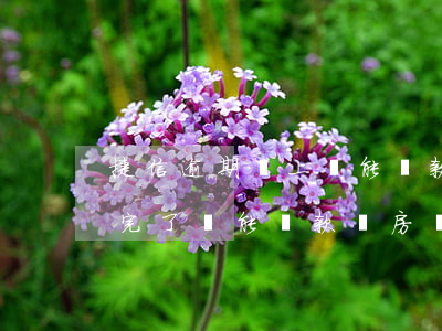 捷信逾期還上還能貸款嗎(捷信逾期過,但是還完了還能貸款買房嗎)