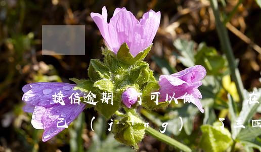 捷信逾期還了可以做車貸嗎(在捷信有過逾期已經(jīng)還了三四年了還能辦理車貸么)