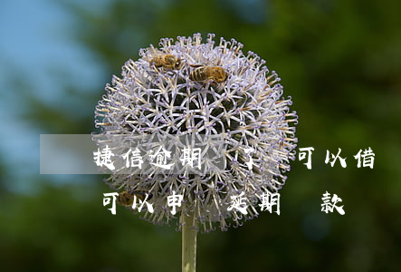 捷信逾期還了還可以借嗎(捷信逾期還款了還可以申請延期還款嗎)