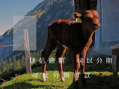 捷信逾期還可以分期買車么(捷信逾期未還了可以分期付款買車嗎?)