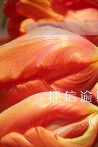 捷信逾期還可以買車票嗎(捷信逾期能不能做飛機(jī)和火車高鐵)