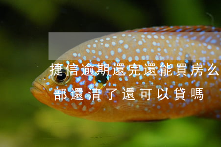 捷信逾期還完還能買房么(捷信逾期了但是全部還清了還可以貸嗎?)
