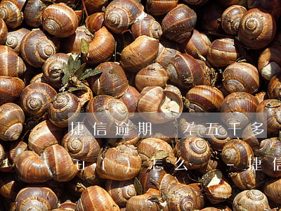 捷信逾期還差五千多沒(méi)還會(huì)怎么樣-捷信逾期還差五千多沒(méi)還會(huì)怎么樣嗎