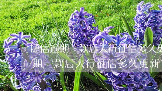 捷信逾期還款后人行征信多久更新-捷信逾期還款后人行征信多久更新一次