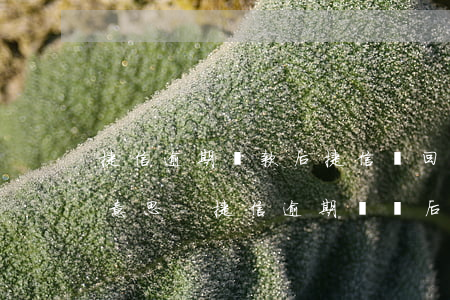 捷信逾期還款后捷信還回訪(fǎng)啥意思-捷信逾期歸還后多長(zhǎng)時(shí)間征信消除記錄