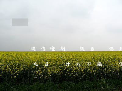 捷信逾期還款后辦信用卡有影響嗎(捷信還完之后為什么不能辦信用卡?)
