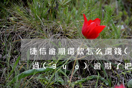 捷信逾期還款怎么還錢(qián) 捷信有過(guò)逾期了,把錢(qián)還清了,還能分期捷信嗎?