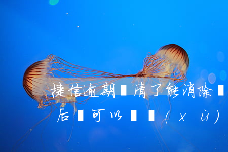 捷信逾期還清了能消除嗎(捷信逾期了還清以后還可以繼續(xù)貸款嗎?)