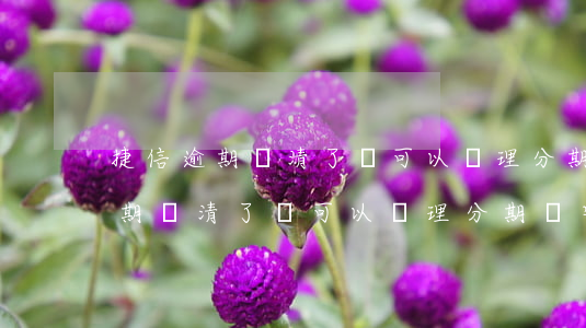 捷信逾期還清了還可以辦理分期嗎-捷信逾期還清了還可以辦理分期嗎安全嗎