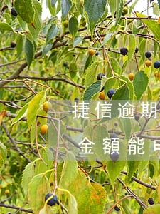 捷信逾期金額能申請欠款分期嗎-捷信逾期金額能申請欠款分期嗎