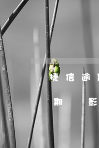 捷信逾期銀行卡異常狀態(tài)(捷信逾期會影響辦理信用卡?)