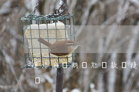 捷信逾過期還能貸款嗎（捷信還款逾期會怎么樣）