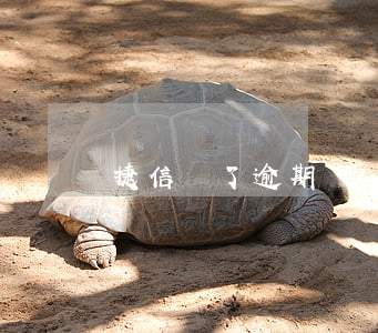 捷信還了逾期記錄能清嗎