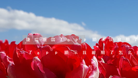 捷信還款了app顯示我逾期了-捷信還款了app顯示我逾期了怎么辦