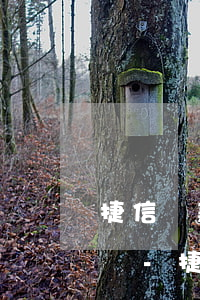 捷信還款協(xié)商還款一定要一次性嗎-捷信還款協(xié)商還款一定要一次性嗎安全嗎