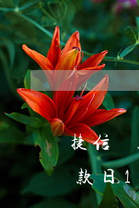 捷信還款日15天后還款算逾期嗎-捷信還款日15天后還款算逾期嗎怎么辦