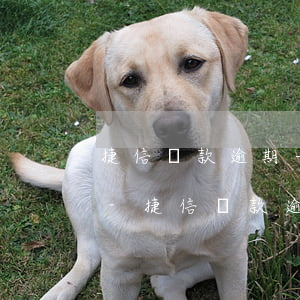 捷信還款逾期一個(gè)星期有什么影響-捷信還款逾期一個(gè)星期有什么影響嗎