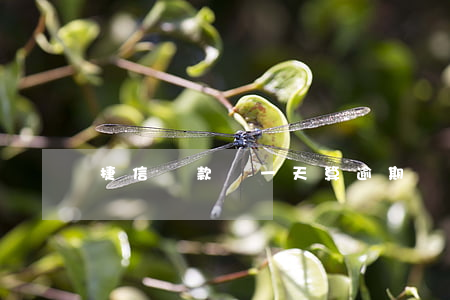 捷信還款遲一天算逾期嗎