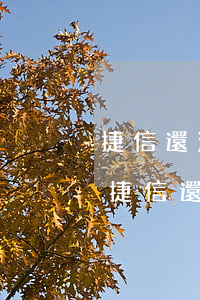 捷信還清了怎么還發(fā)短信說逾期-捷信還款還清了會短信通知嗎