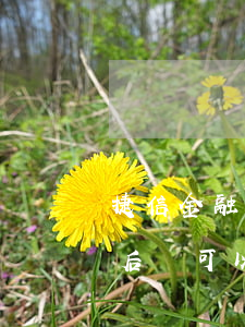 捷信金融可以逾期還款嘛(捷信逾期了還清以后還可以繼續(xù)貸款嗎?)