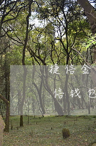 捷信金融有权冻结微信吗（捷信逾期会冻结微信钱包吗）